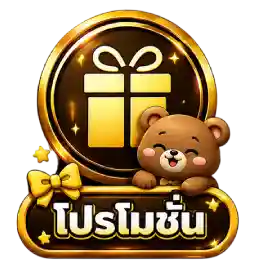 โปรโมชั่น13